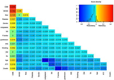 Machine learning approach for hemorrhagic transformation prediction: Capturing predictors' interaction